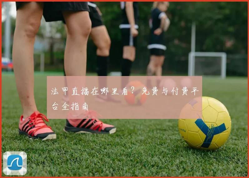法甲直播在哪里看?免费与付费平台全指南