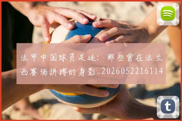 法甲中国球员足迹:那些曾在法兰西赛场拼搏的身影_20260522161146